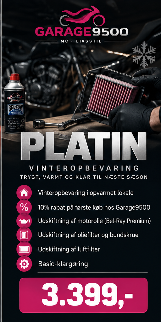 Vinteropbevaring Platin